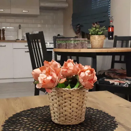 Natalia Polanica-Zdrój