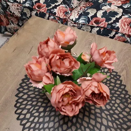 Natalia Polanica-Zdrój