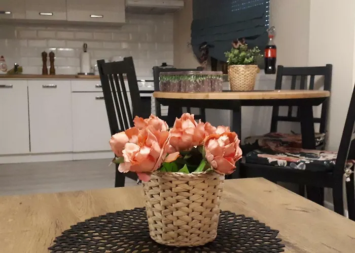 Natalia Polanica-Zdrój